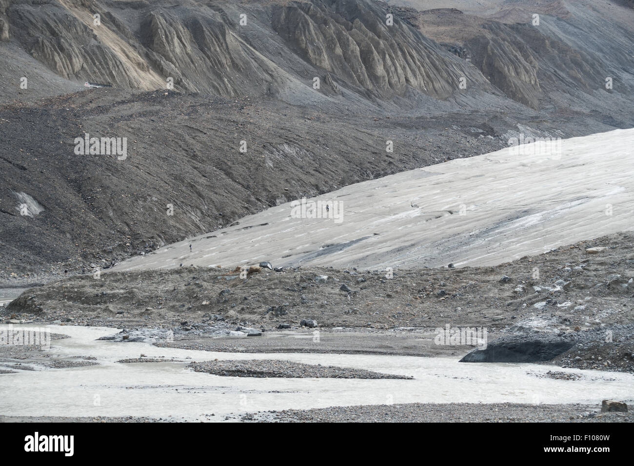 Die restlichen Athabasca Gletscher, Britisch-Kolumbien Stockfoto