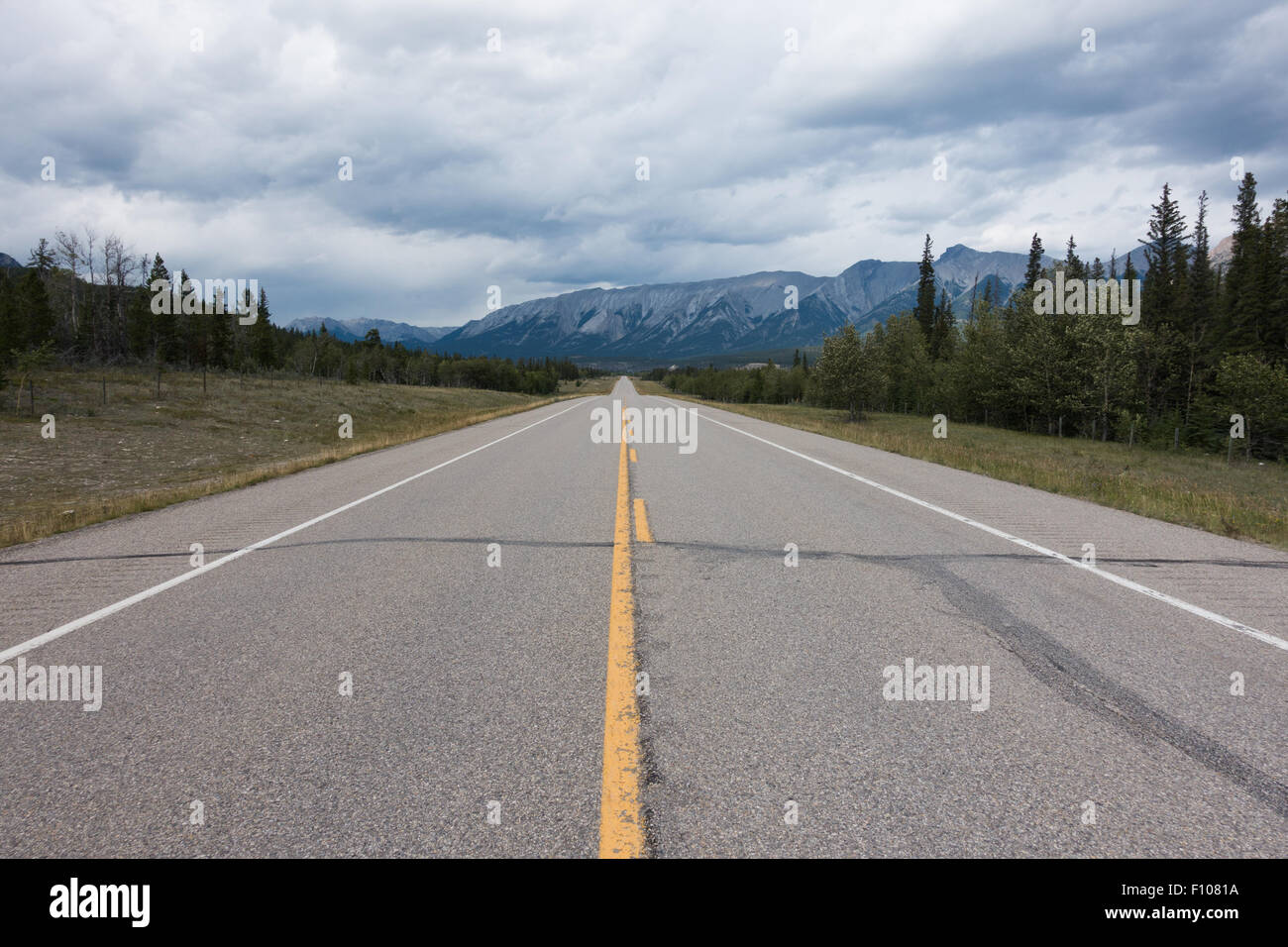 Leer, breit, gerade David Thompson Highway 11, Alberta. Stockfoto