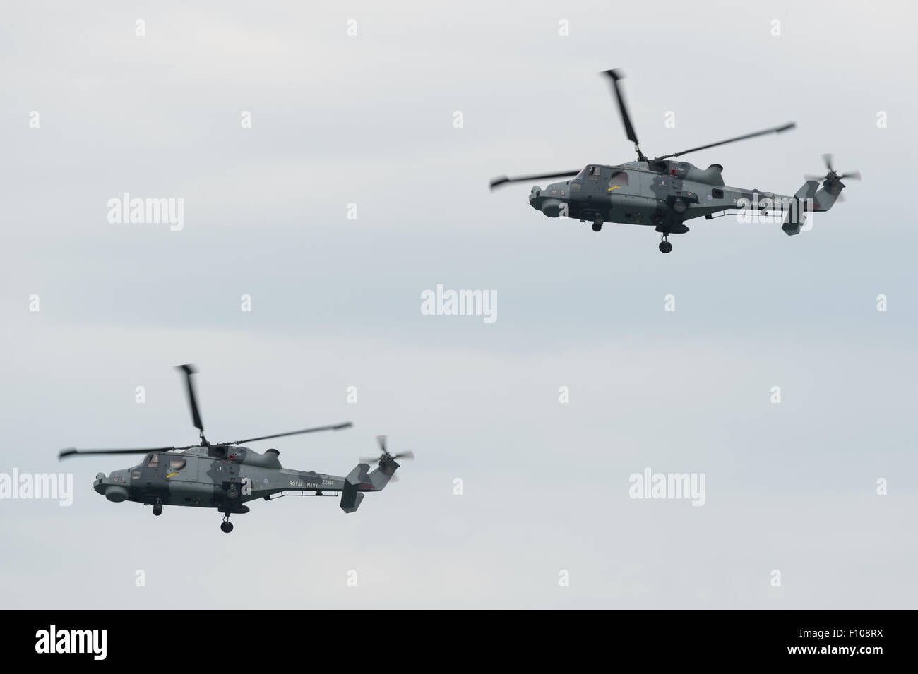 Die Royal Navy Black Cats Lynx Hubschrauber auf der Dawlish Air Show 2015. Stockfoto