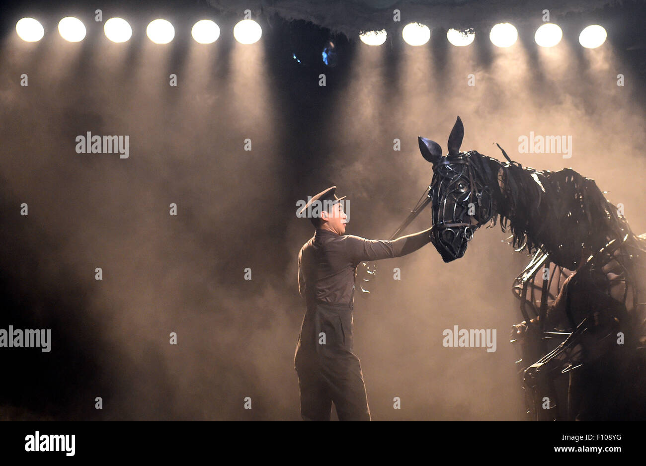 Peking, China. 24. August 2015. Schauspieler Proben Drama "War Horse" am National Theatre of China in Peking, Hauptstadt von China, 24. August 2015. Das Drama, das über 4.000 Mal in 9 Ländern durchgeführt wurde, haben die Premiere der chinesischen Ausgabe am 4. September in Peking. © Jin Liangkuai/Xinhua/Alamy Live-Nachrichten Stockfoto