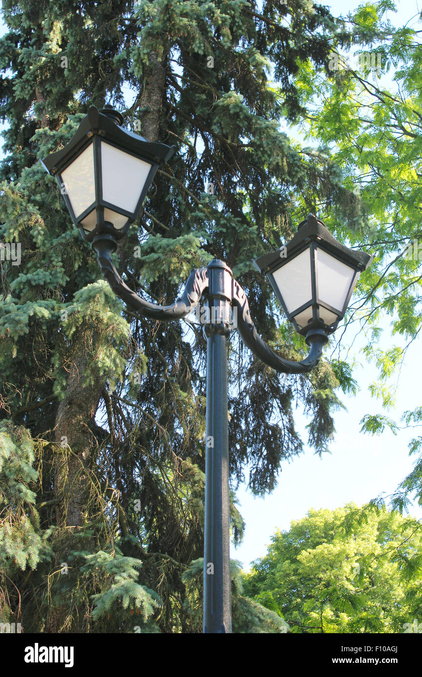 schöne Laternen im Stadtpark mit grünen Bäumen Stockfoto