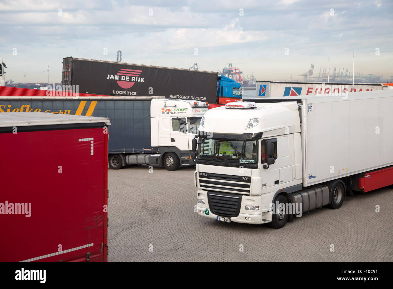 LKW Fracht Fahrzeuge Ausschiffung von Stena Lines Fähre, Hoek van Holland, Niederlande Stockfoto