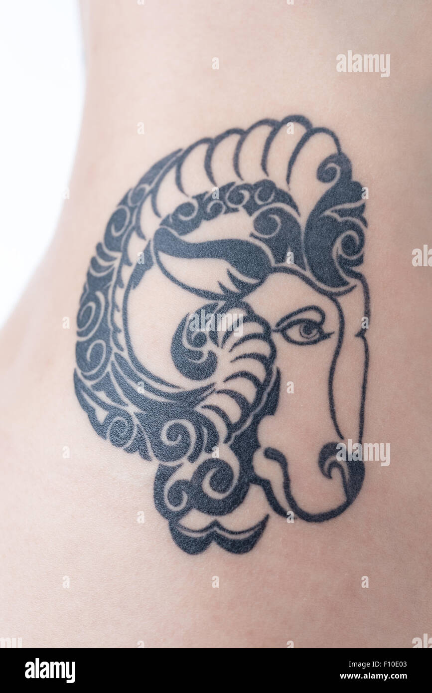 Ein tribal-Stil Schafe Tattoo auf einer Frau Rücken und Hüfte. Stockfoto