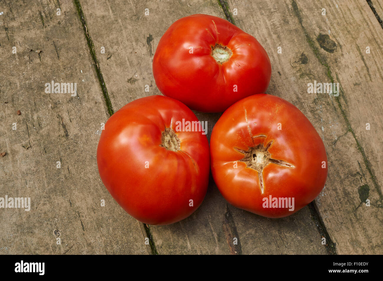 Erbstück Oxheart Tomaten Stockfoto