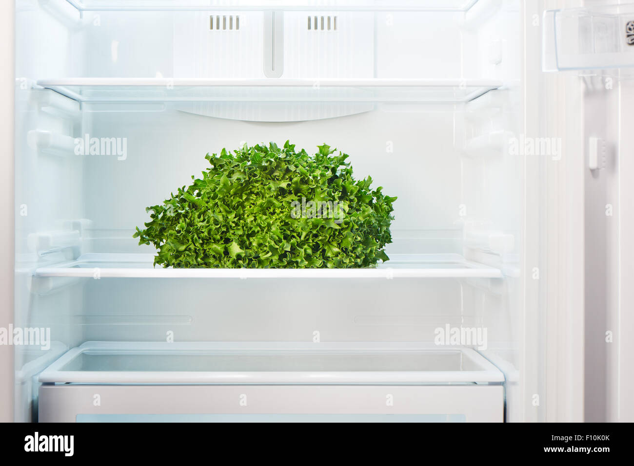 Grüner Salat im Regal der offenen leeren Kühlschrank. Gewicht-Verlust-Diät-Konzept. Stockfoto