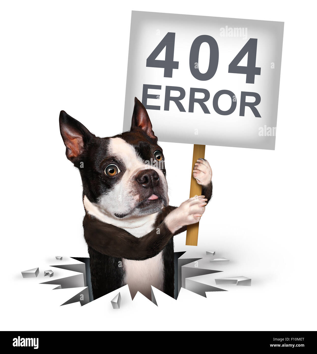 Fehler 404-Seite nicht gefunden Konzept und eine gebrochene oder Toten Link-Symbol als ein Hund aus ein Loch mit einem Schild mit Text für das Brechen der Netzwerkverbindung führen Internet Suche Problemen. Stockfoto