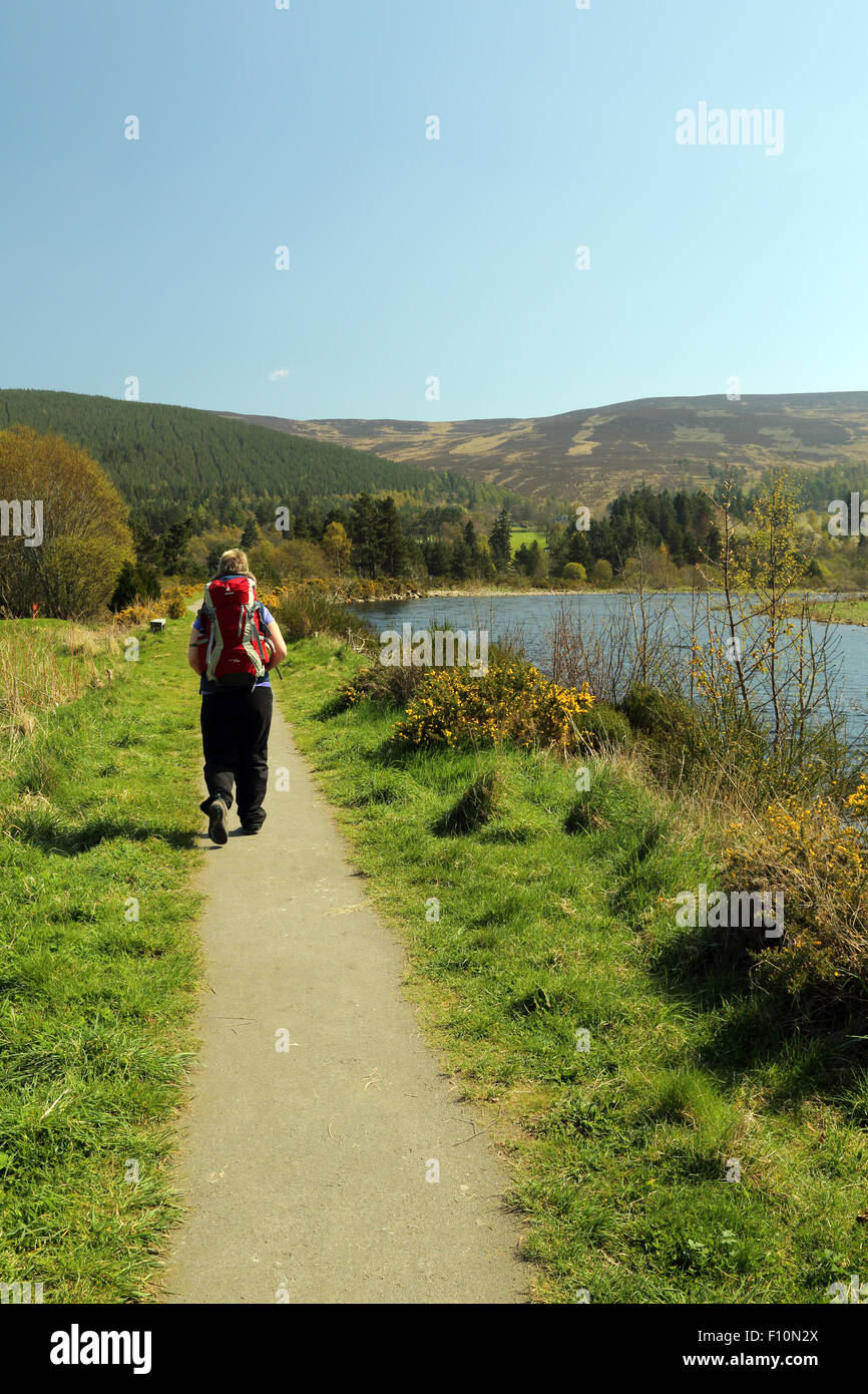 Eine weibliche Wanderer Spaziergänge entlang einem Pfad entlang des Flusses Dee in Aberdeenshire, Schottland, in der Nähe der Stadt Ballater im Royal Deeside Stockfoto