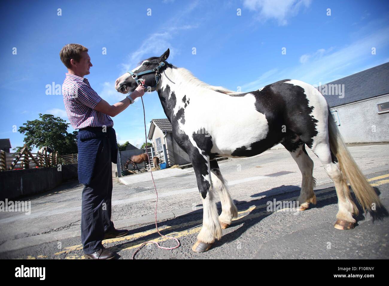 Ballycastle, Irland. 24. August 2015. Darren Fleming Kuhhandel... Der Lammas Fair in Ballycastle Co Antrim in Gang kommt mit Tausenden von Menschen strömen in die Stadt am Meer, Rotalgen, Yellowman und den Spaß der Messe zu genießen. Die Lammas Fair ist die älteste traditionelle Messe in Irland feiert das Ende des Sommers und der Beginn der Jahre Ernte. mehr als 300.000 Menschen kommen in die Stadt über zwei Tage. Bildnachweis: Steven McAuley/Alamy Live-Nachrichten Stockfoto