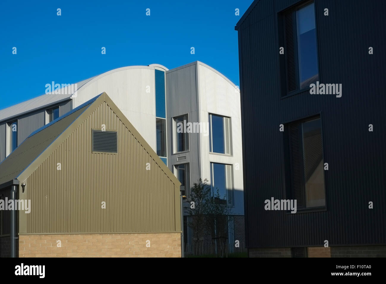 Moderne Architektur: Penglais Bauernhof, neu gebaute Student Selbstversorger Hallen der Unterkunft im Wohnheim an der Aberystwyth University, Wales UK Stockfoto