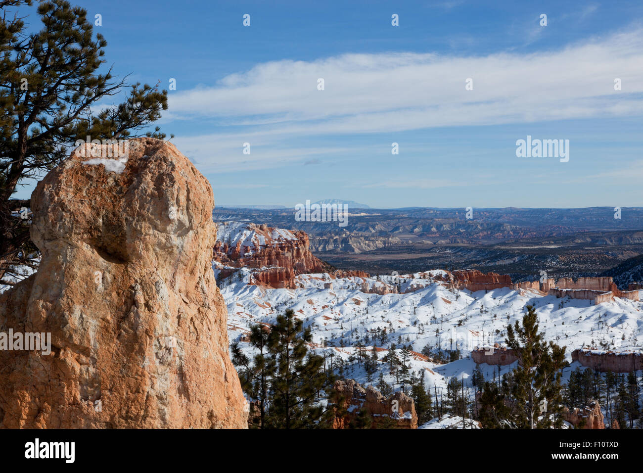 Detail einer erodierenden Sandstein Felsen zeigen Risse mit einem dramatischen Winter Hintergrund der Bryce-Canyon-Nationalpark, Utah. Stockfoto