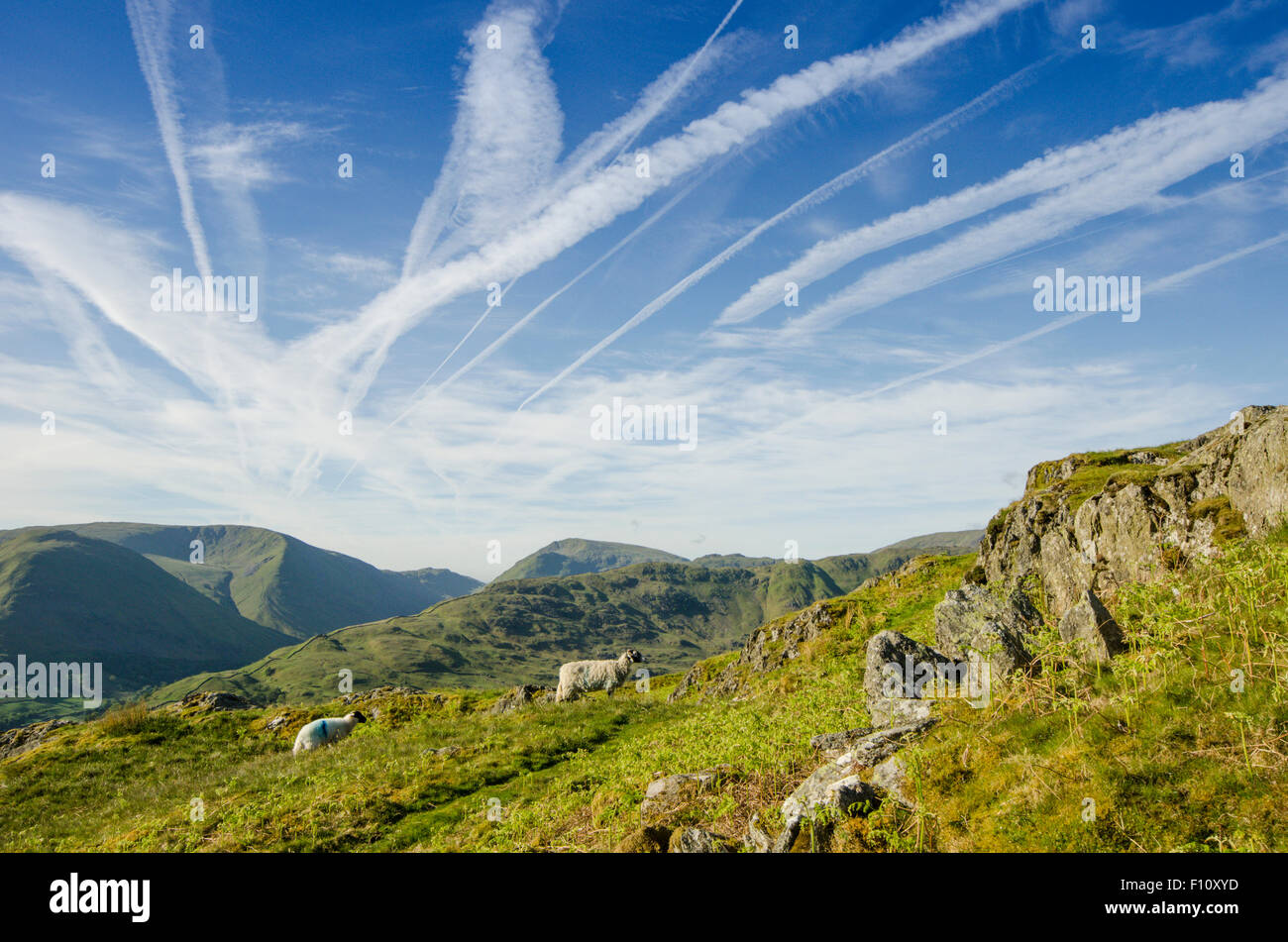 Südlich von der Spitze des Arnison Crag, Patterdale, The Lake District, England anzeigen Dampf oder Dampf-Trails, Kondensstreifen zeigen. Stockfoto