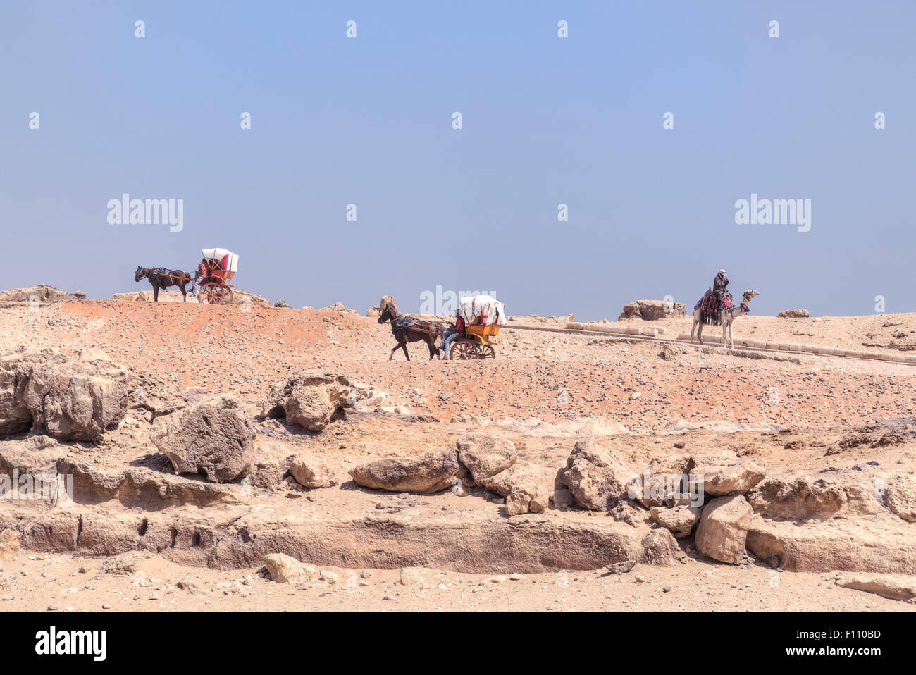 Caleshes und Kamele in der Wüste in Kairo, Ägypten, Afrika Stockfoto