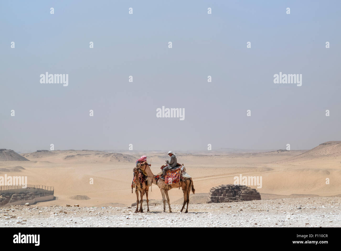 Kamelreiten in der Wüste von Kairo, Ägypten, Afrika Stockfoto