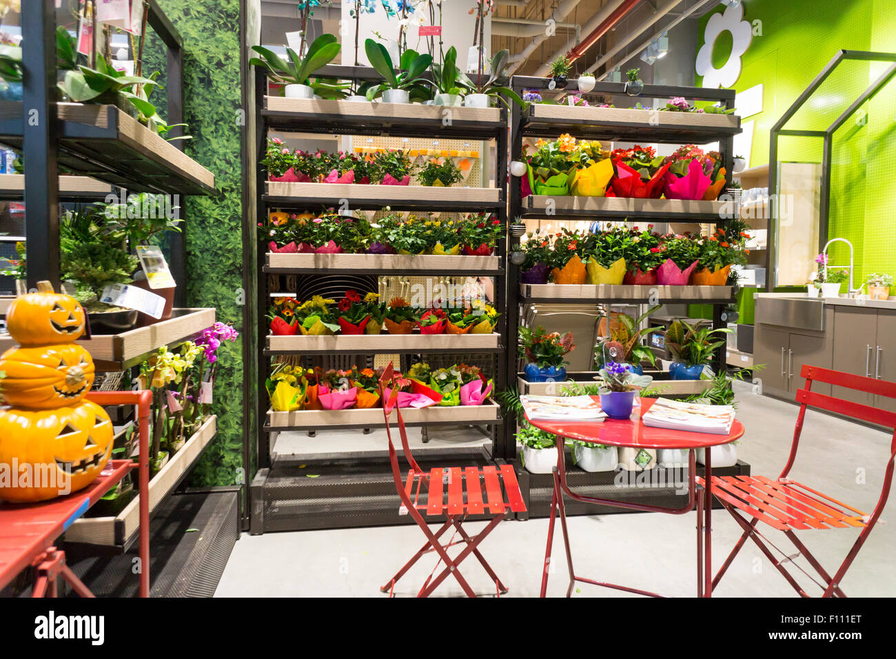 Die städtischen Gärtnerei Abteilung in eine neue Lowe urban-orientierten Baumarkt am Dienstag, 18. August 2015 in New York. Lowe Cos angekündigt, dass zweite Quartal Wachstum und same-Store-Verkäufe Erwartungen der Analysten unter Berufung auf Wachstum in US-Gehäuse schlagen. Lowe ist der zweitgrößte Baumarktkette Home Depot. (© Richard B. Levine) Stockfoto