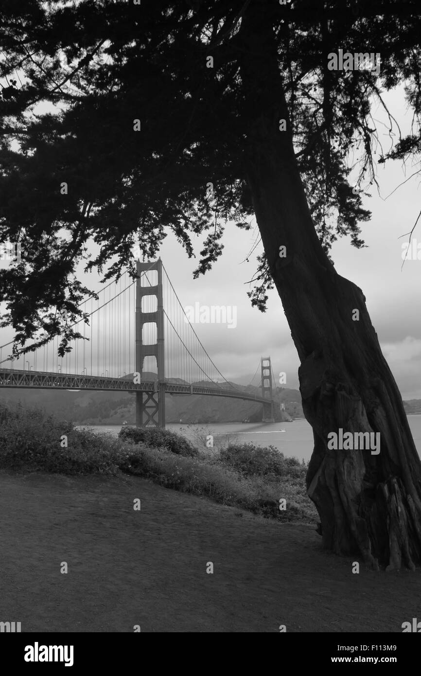 Golden Gate bridge, San Francisco Brian Mcguire Stockfoto