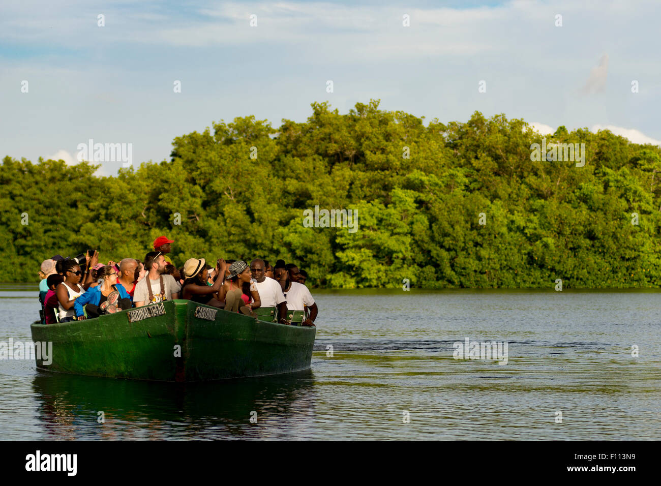 Eine geführte Bootstour durch die Caroni Sumpf Trinidad. Stockfoto