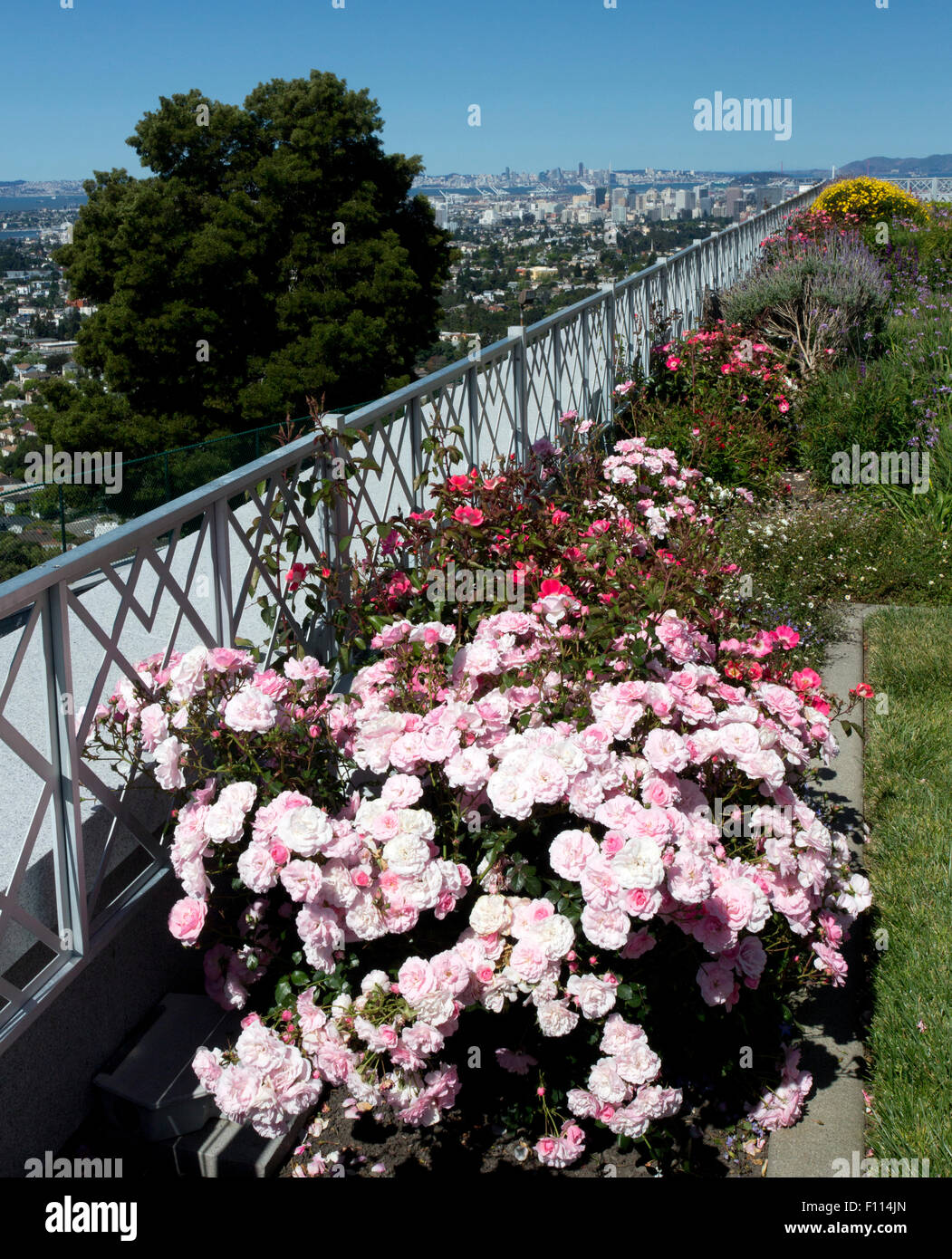 Blick auf die San Francisco und Oakland aus Berkeley Hills Stockfoto