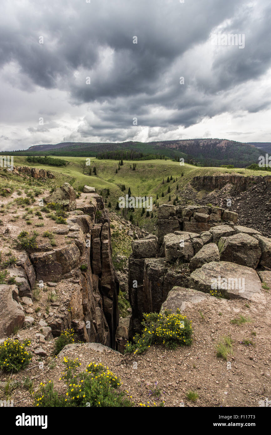 In der Nähe von Clear Creek Falls, Mineral County, Colorado Stockfoto