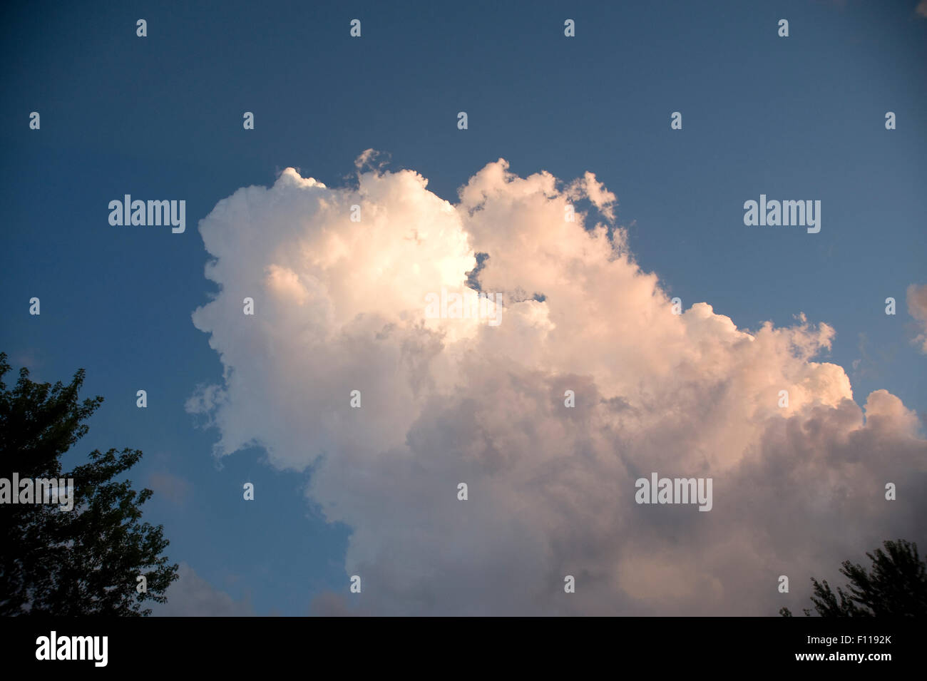 Im mittleren Westen Cumulus Sturmwolken in Indiana bei Sonnenuntergang. Stockfoto