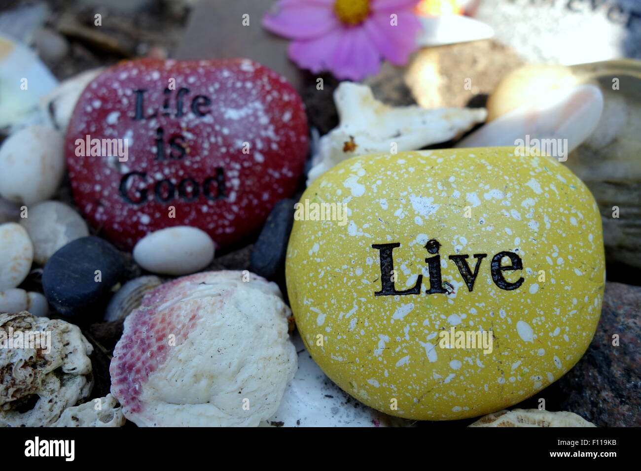 Inspirational Quotes auf Garten Felsen. Stockfoto