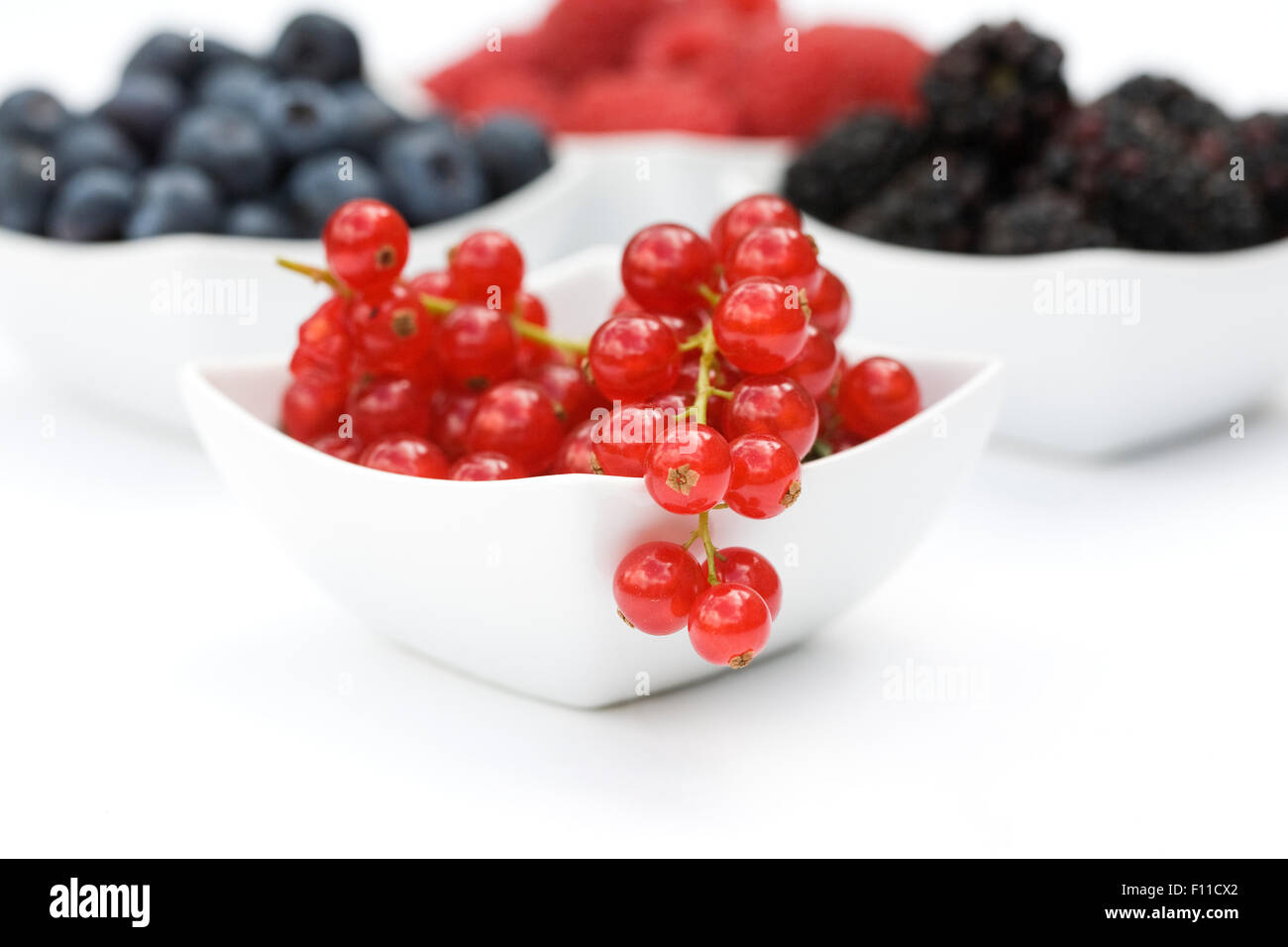 Rote Johannisbeeren, Brombeeren, Himbeeren und Heidelbeeren in weißen Schalen auf einem weißen Hintergrund. Stockfoto