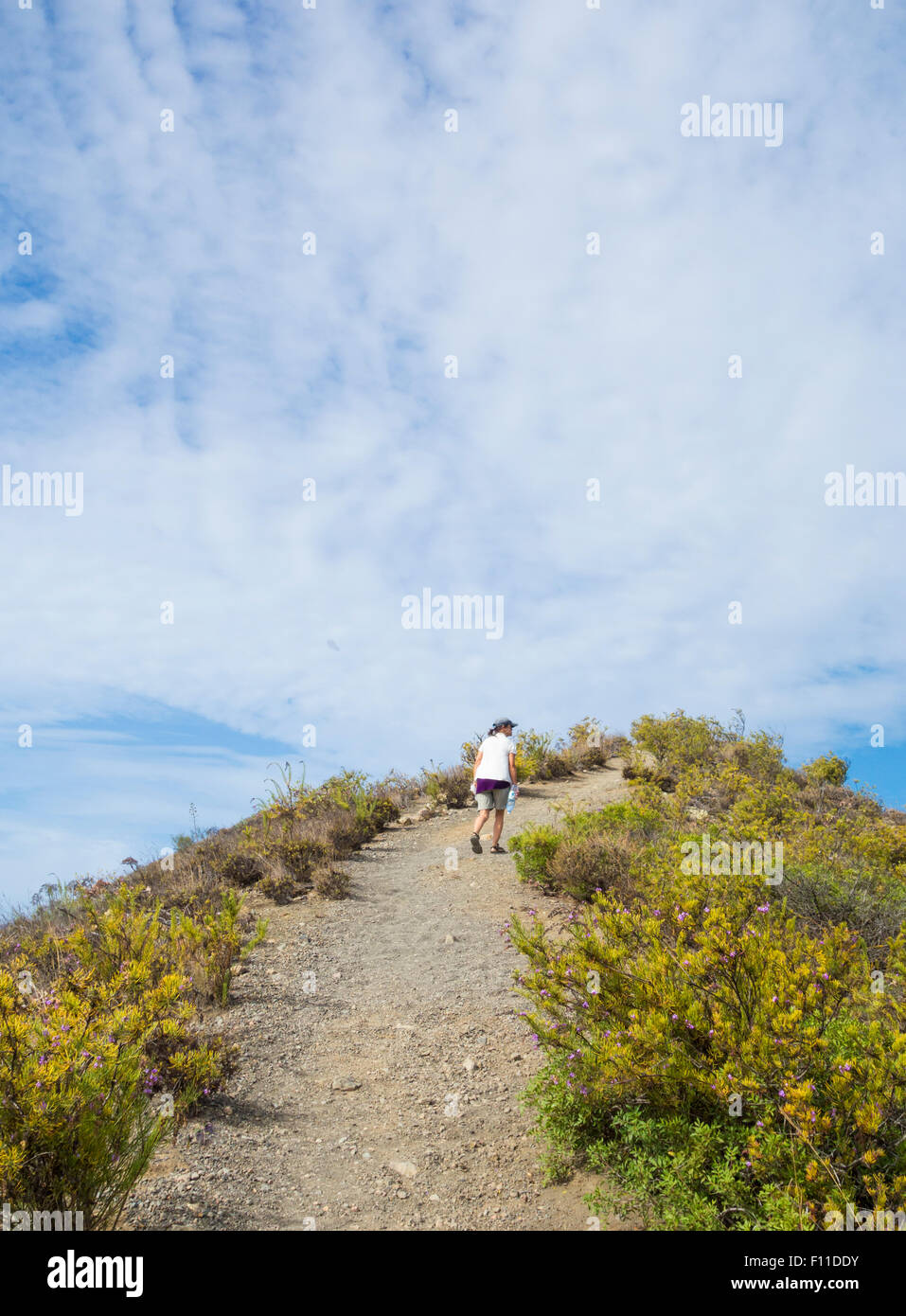 Weibliche Wanderer auf Wanderweg rund um den Rand der Bandama Krater in der Nähe von Las Palmas, Gran Canaria, Kanarische Inseln, Spanien. Stockfoto