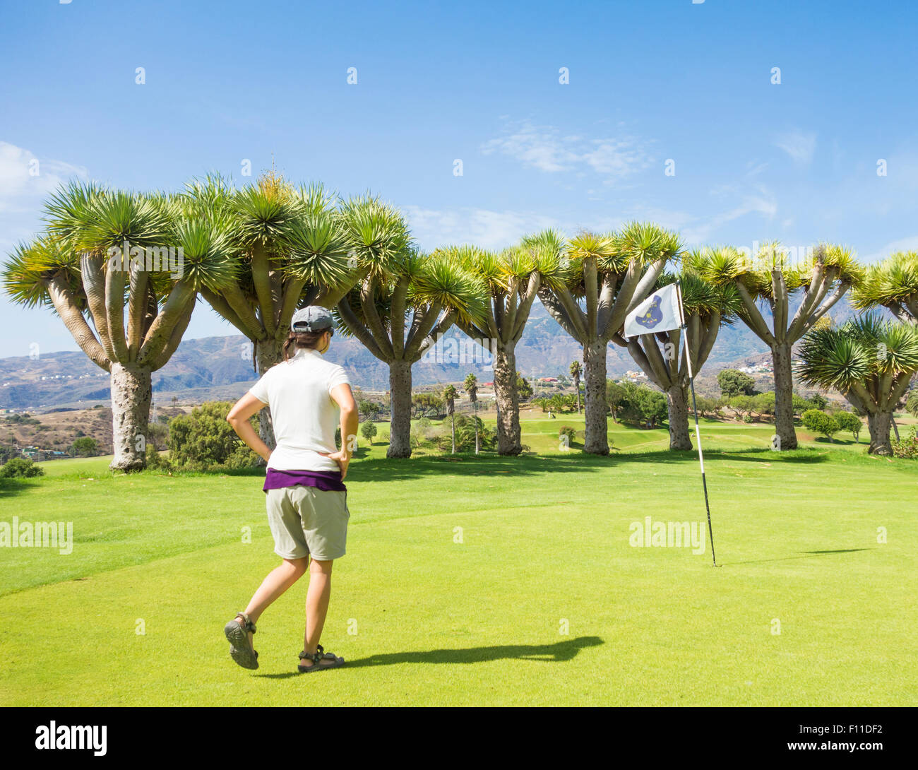 Real club de Golf de Las Palmas in Bandama in der Nähe von Las Palmas, Gran Canaria, Kanarische Inseln, Spanien Stockfoto