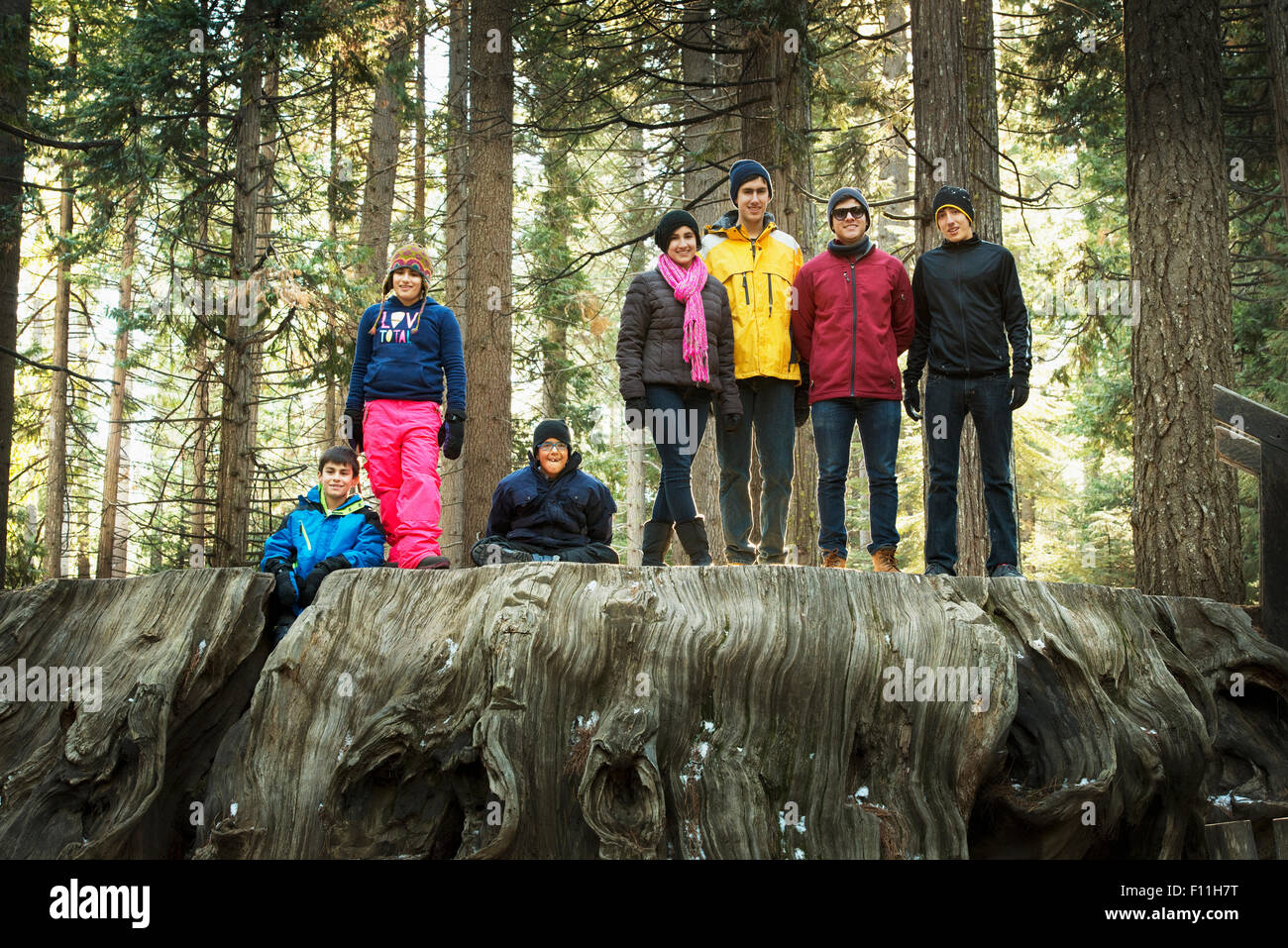 Familie steht auf enorme Baumstumpf im Wald Stockfoto