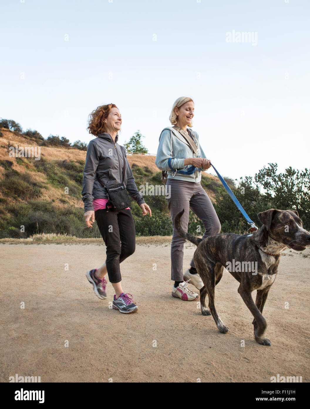 Kaukasischen Frauen Hund auf Feldweg Stockfoto