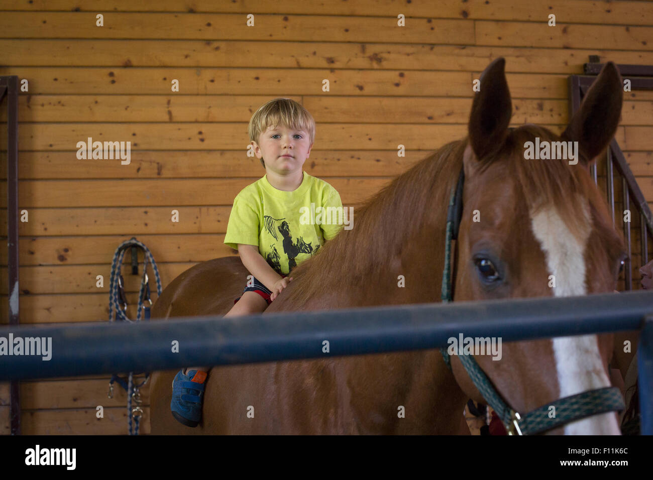Kaukasische Junge sitzt auf Pferd im Stall Stockfoto