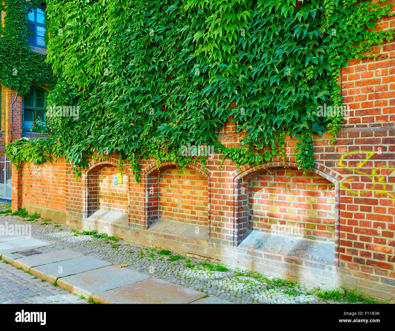 Grüne Wand im Außenbereich der alten Gebäude Stockfoto