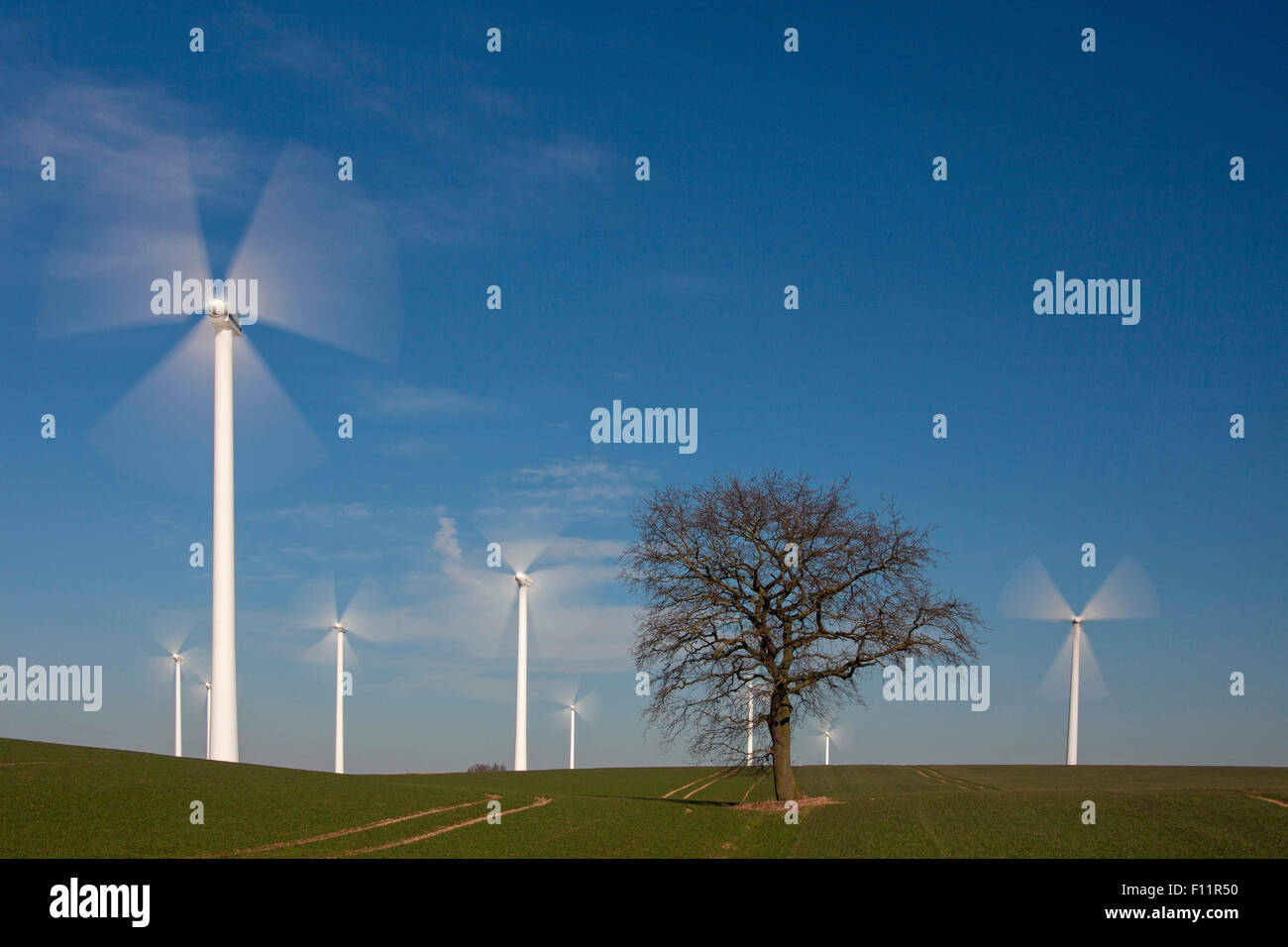 Windkraftanlagen Mecklenburg-Vorpommern, Stockfoto