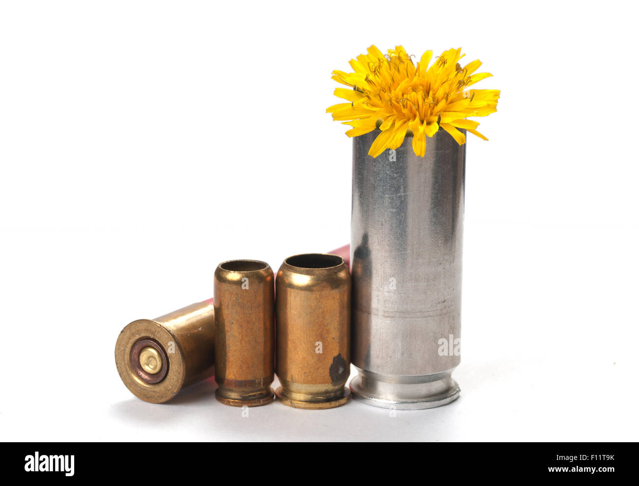 Gebrauchte Patronenhülsen auf weiß mit Schatten und Blume Stockfoto