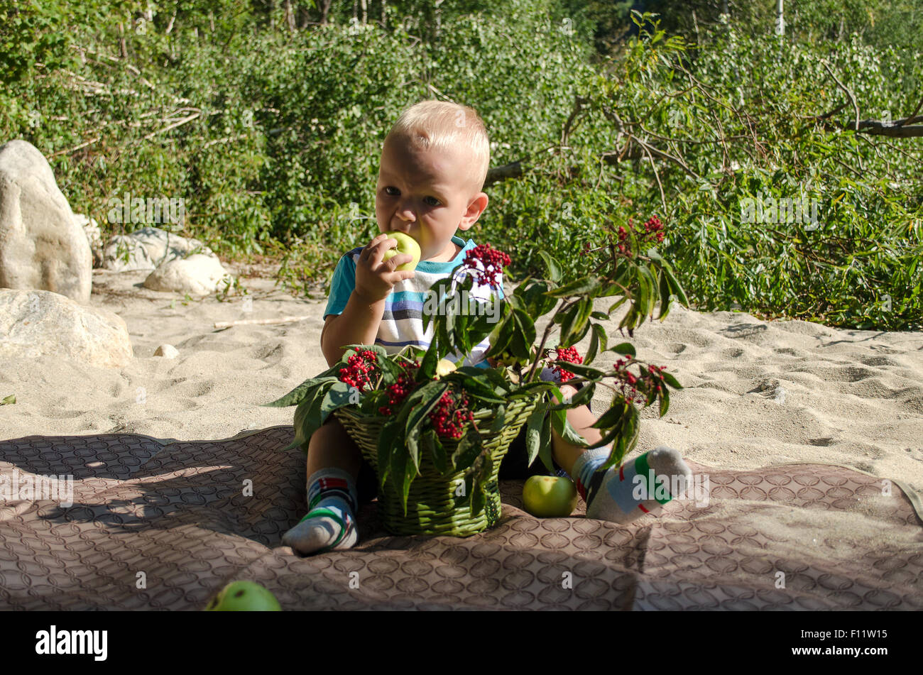 kleiner Junge einen Apfel essen Stockfoto