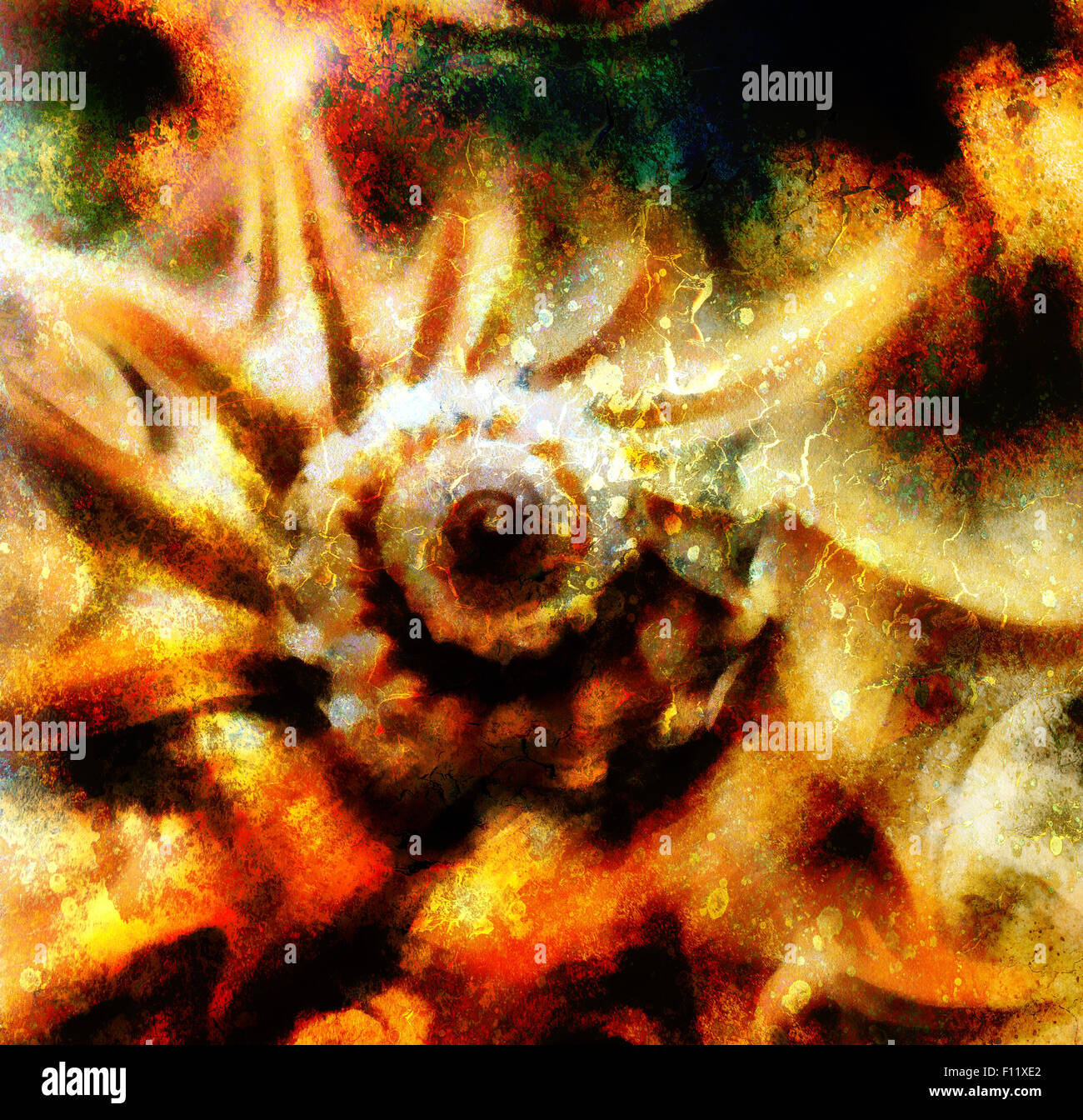 Marine Muschel. Malerei-Collage und abstrakte Farbe Hintergrund Stockfoto