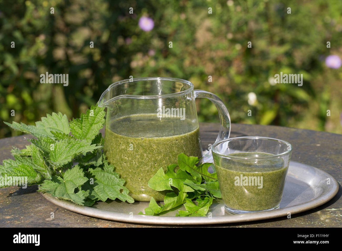 Green Smoothie Smoothie, Grüner Smoothie, Smoothy, Ganzfruchtgetränk, Gesund, Gesundheit, Gesundheit, Gesundheit, Wellness Stockfoto