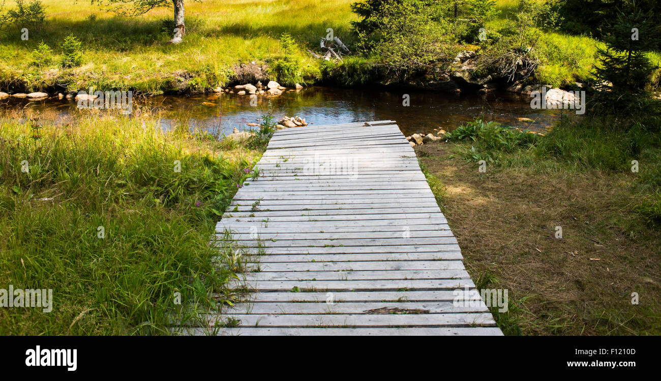 Hölzerne Pier auf einen kleinen Fluss, Bach, Strom Stockfoto