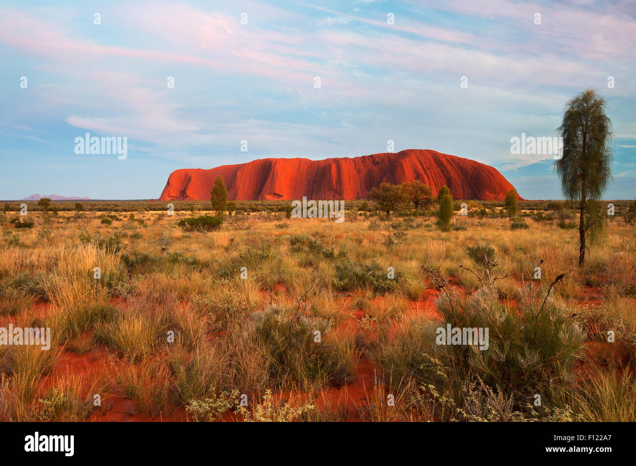 Licht des frühen Morgens am majestätischen Uluru. Stockfoto