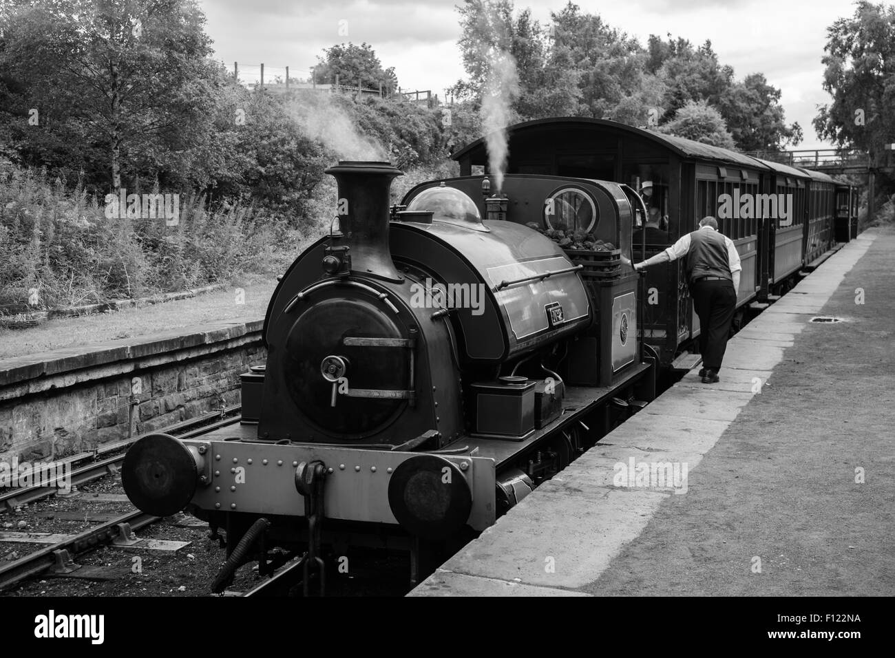 Dampfzug in Tanfield Bahn, die älteste Eisenbahn der Welt. Stockfoto