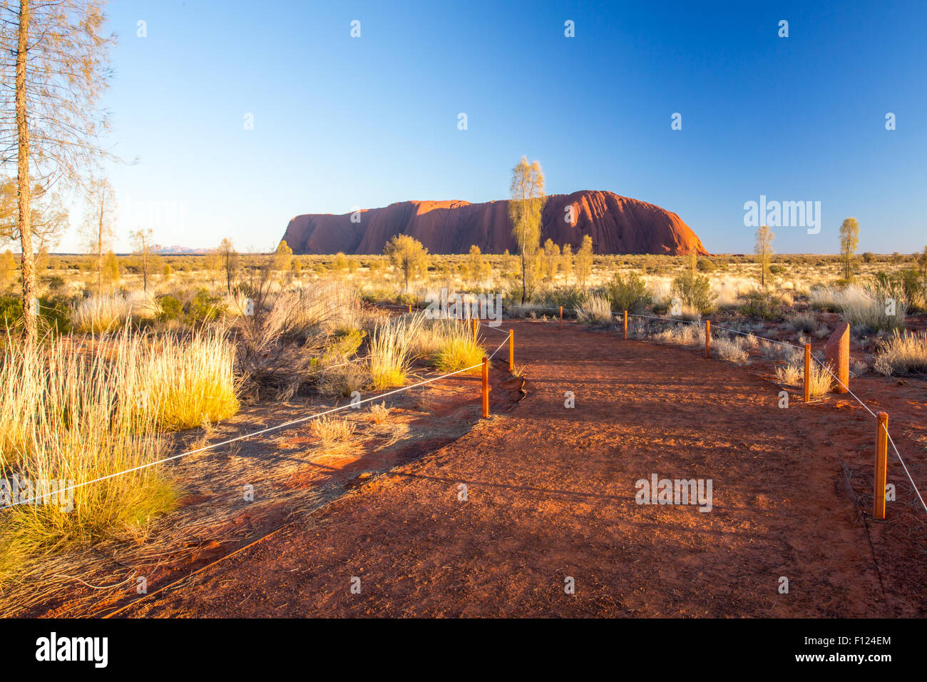 Majestätische Uluru und den Fußweg bis zur Aussichtsplattform bei Sonnenaufgang an einem klaren Wintermorgen im Northern Territory, Australien Stockfoto