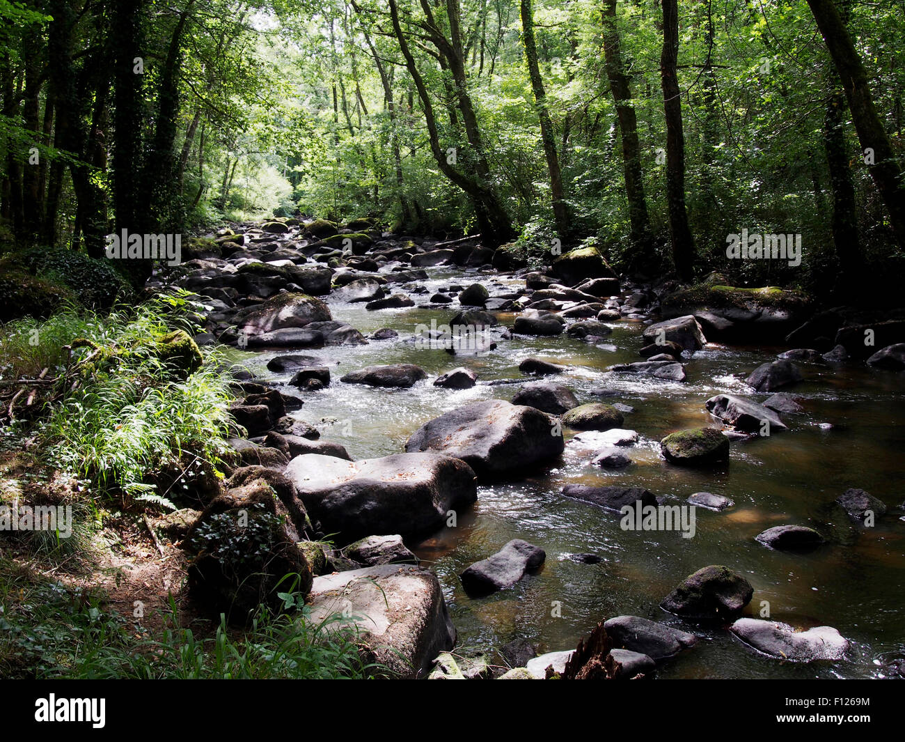 Bewaldete Schlucht des Flusses Rouvre unterhalb der spektakulären Roche d'Oëtre Abgrund in Norman Schweiz, Normandie, Frankreich Stockfoto