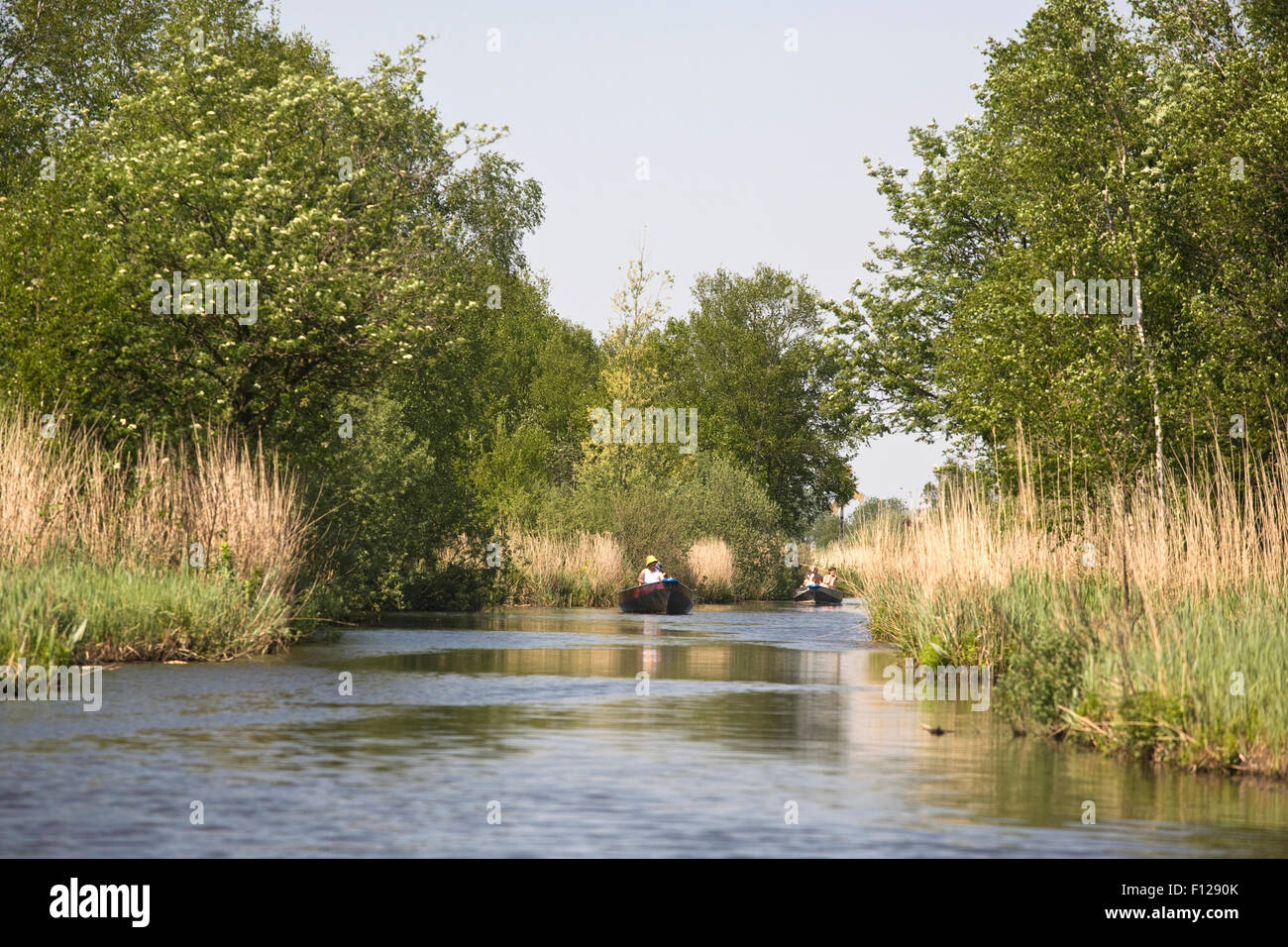 Bereich "Weerribben', in der Provinz Overijssel, Niederlande, Feuchtgebiete, viele Kanäle, Moore ehemalige Torf Stockfoto