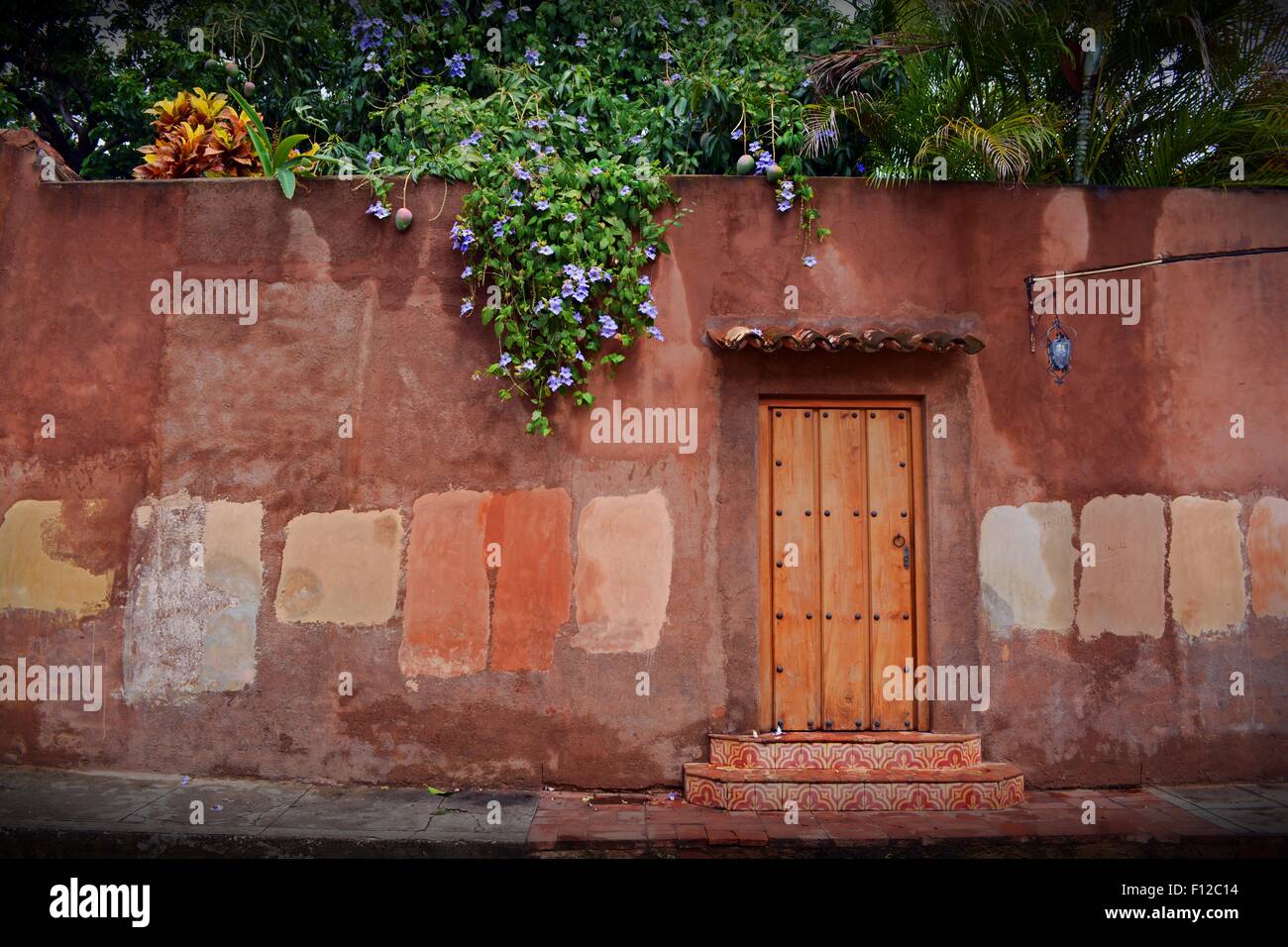 Holztür inmitten einer rustikalen Wand eines tropischen Gartens in Santa Clara, Kuba Stockfoto