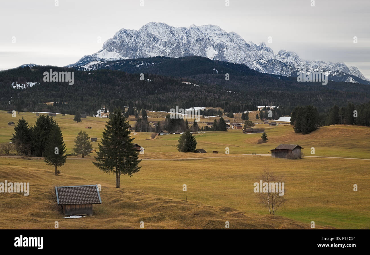 Alpine Rasen mit Karwendelgebirge, Alpen, Deutschland Stockfoto