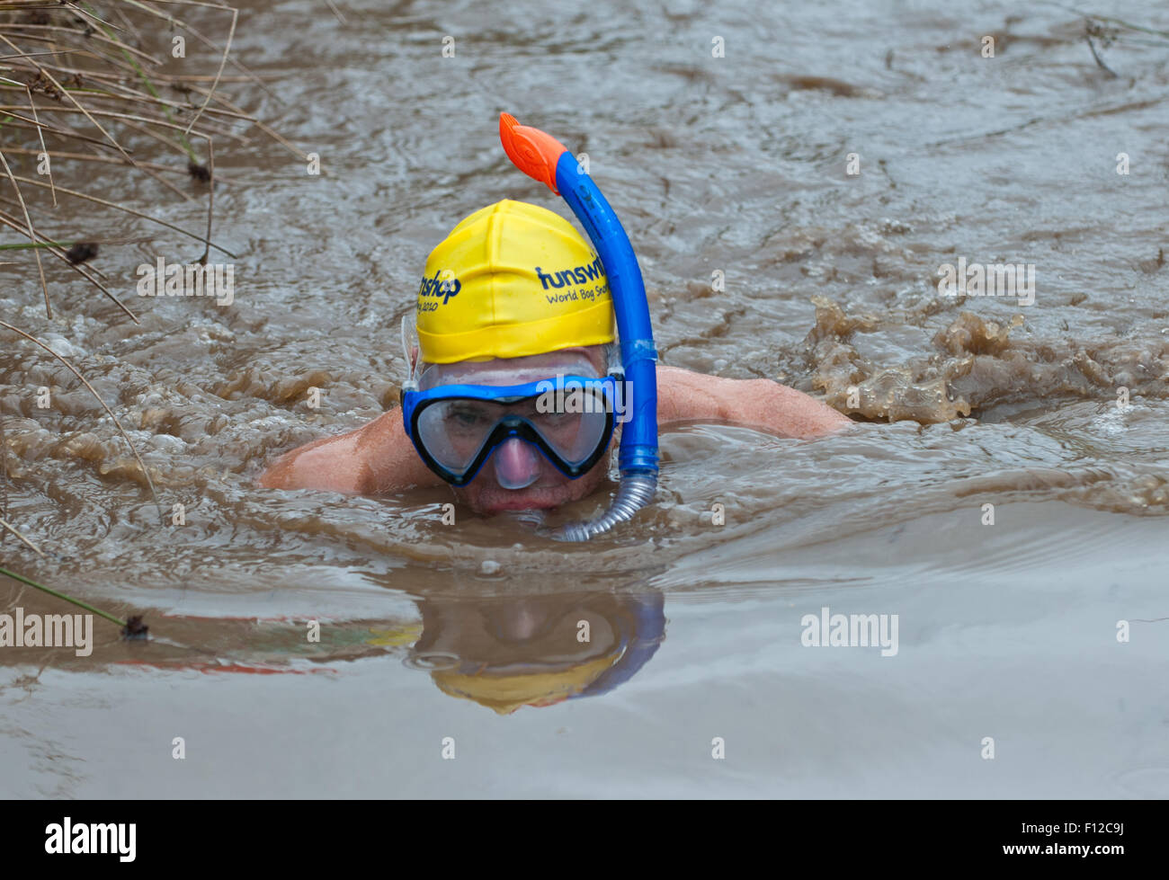 Moor, Schnorcheln Llanwrtyd Wells, Powys, Wales Stockfoto