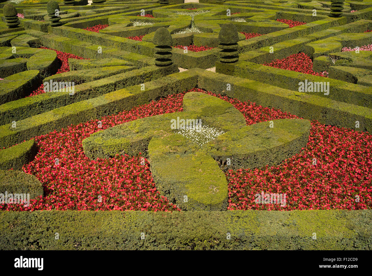 Liebe Gärten am Château de Villandry, Loiretal, Frankreich Stockfoto