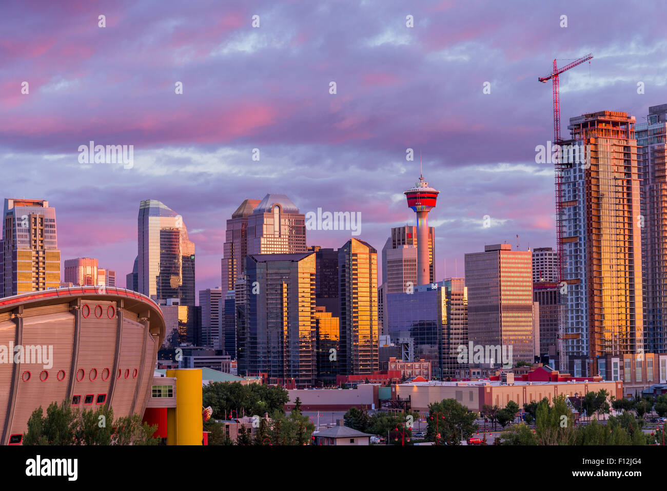 Die Skyline der Saddledome und Calgary, Calgary, Alberta, Kanada Stockfoto