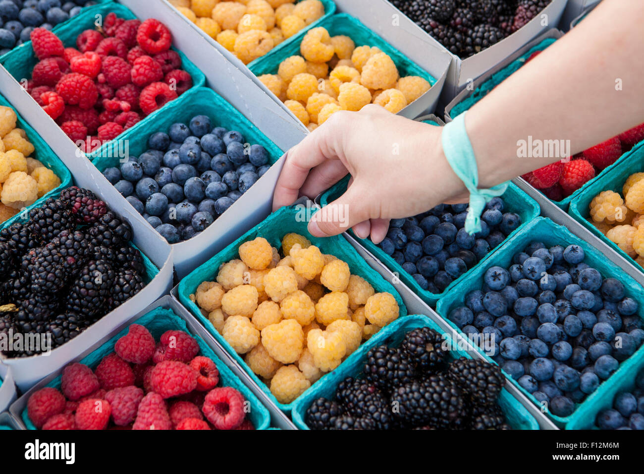 Bio rot und Gold Himbeeren, Heidelbeeren und Brombeeren, Farmers Market, Santa Barbara, Kalifornien Stockfoto