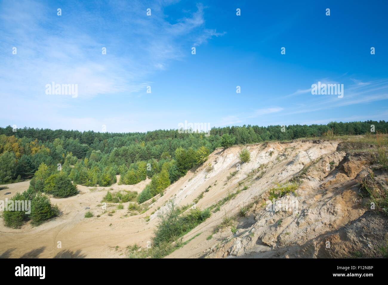 Sandhills und Pine Forest unter blauem Himmel. Landschaft im ländlichen Raum Stockfoto