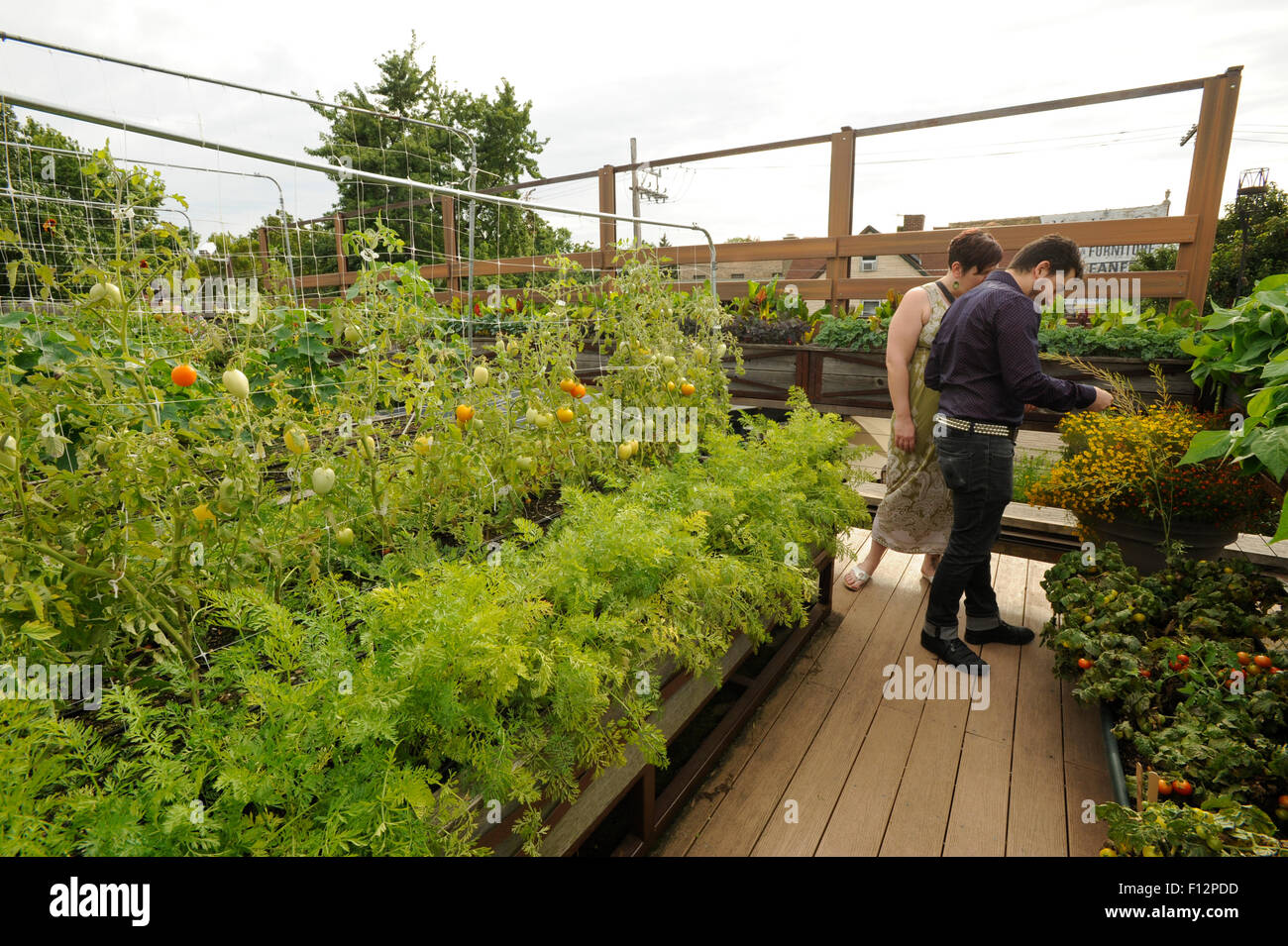Dachterrasse Gemusegarten Oben Restaurant In Chicago Illinois Stockfotografie Alamy